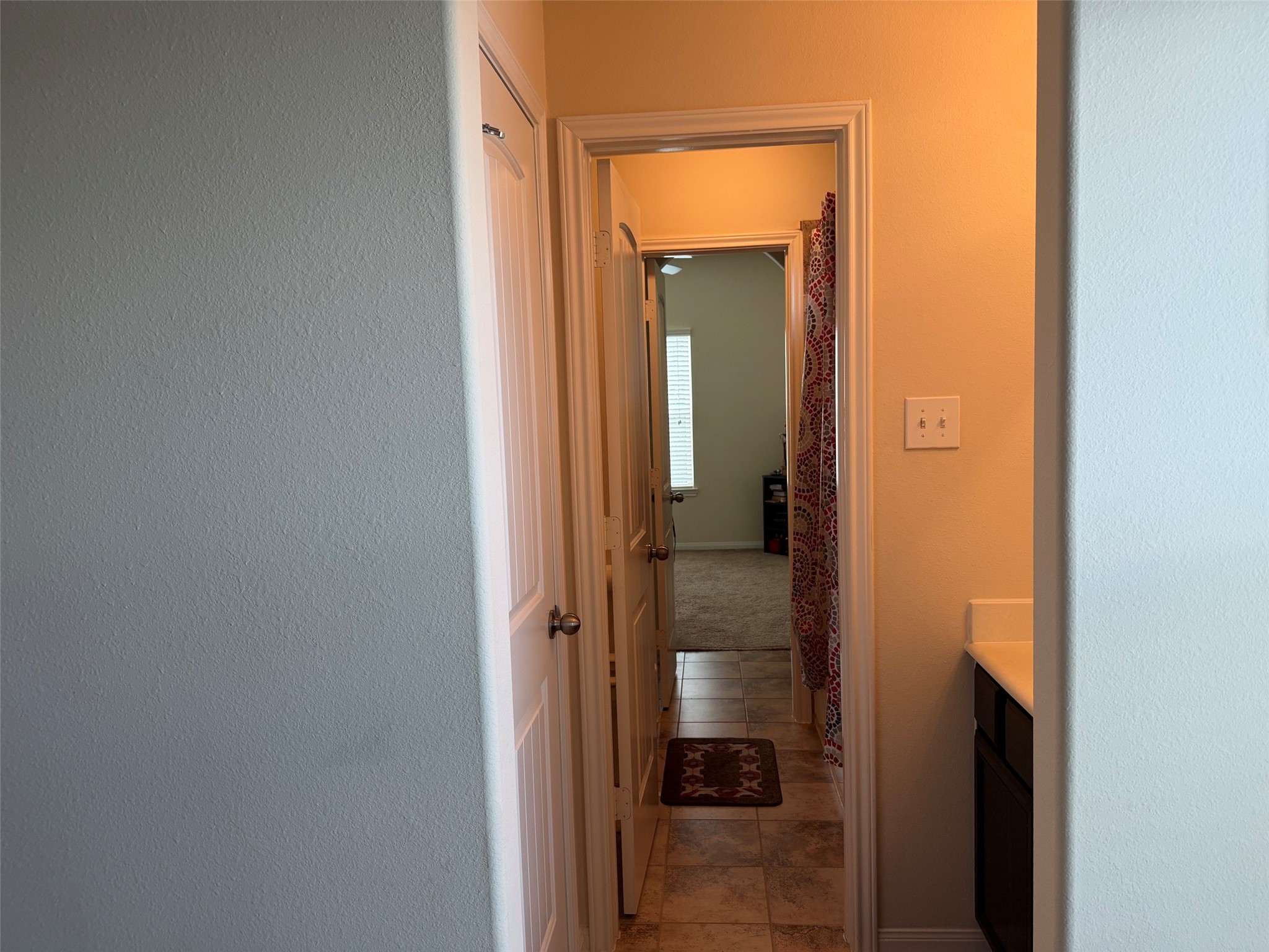 24930 Diamond Ranch Drive Katy, TX 77494 - Photo 18 of 20