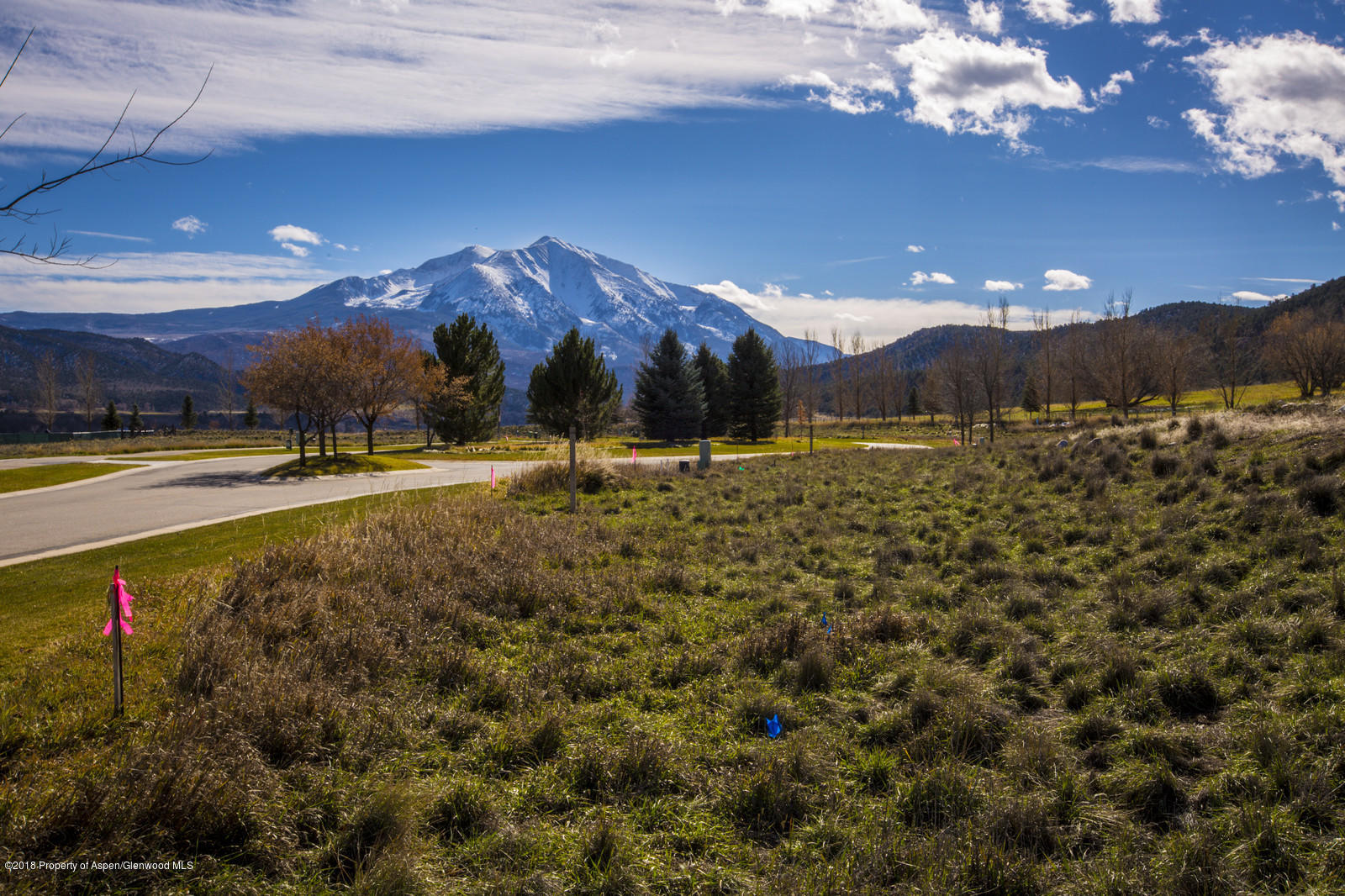 829-839 Perry Ridge Carbondale, CO 81623 - Photo 9 of 32 10__MG_9936_mls