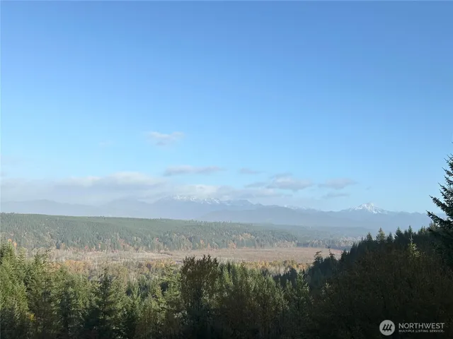 a view of a backyard with mountain and trees