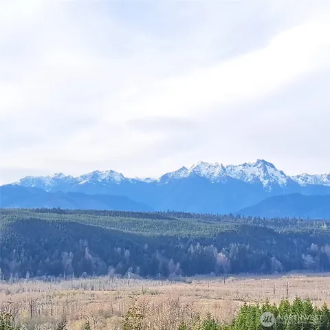 a white house that has a tree in front of it