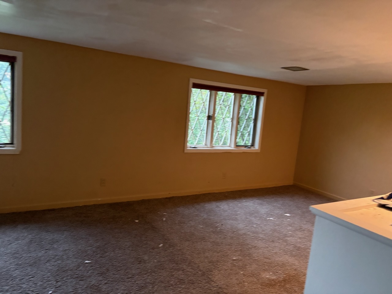 1644 Homewood Avenue Springfield, IL 62704 - Photo 33 of 40