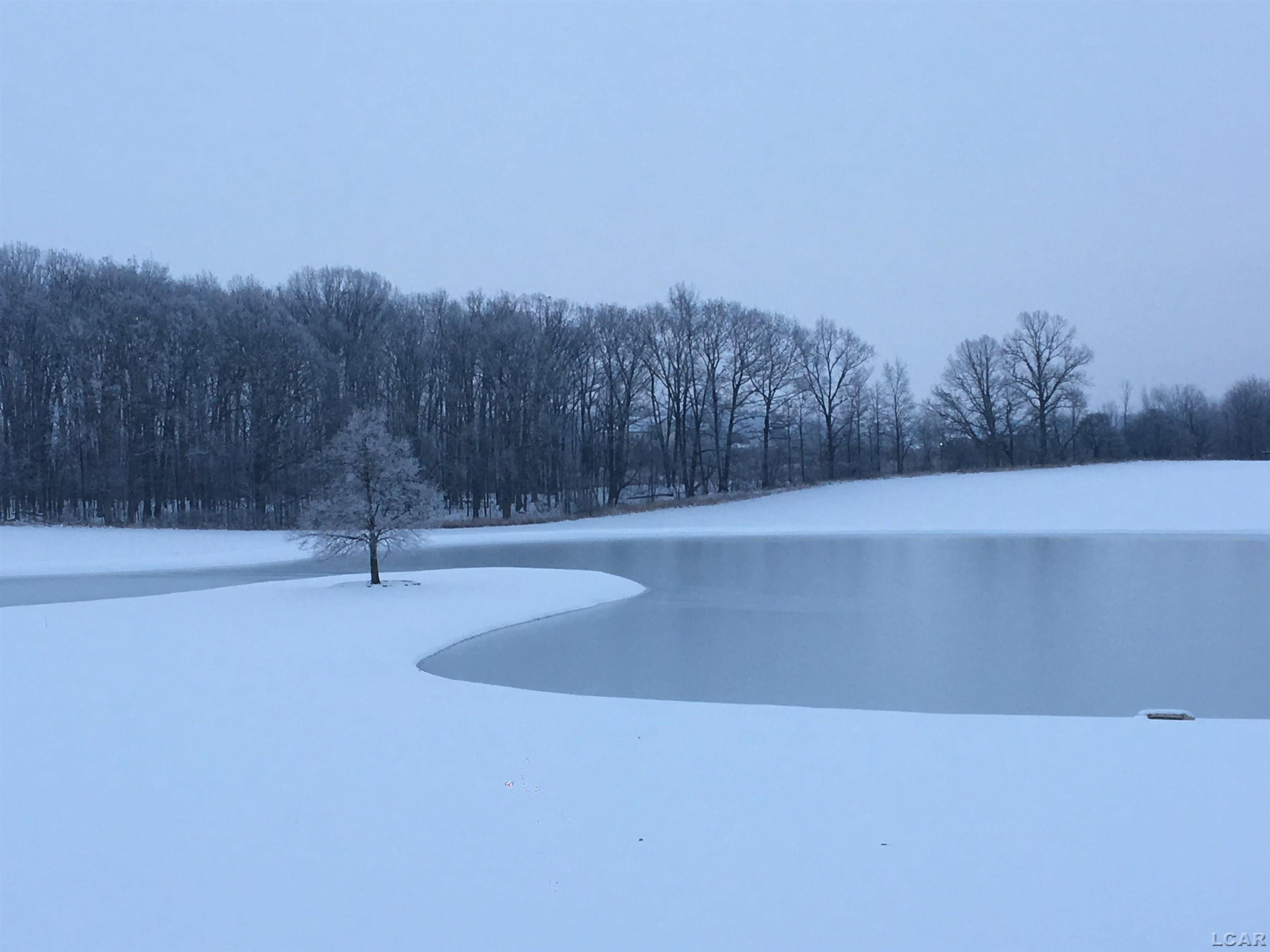3883 Emery Road Adrian, MI 49221 - Photo 76 of 76 50087647-75.JPG