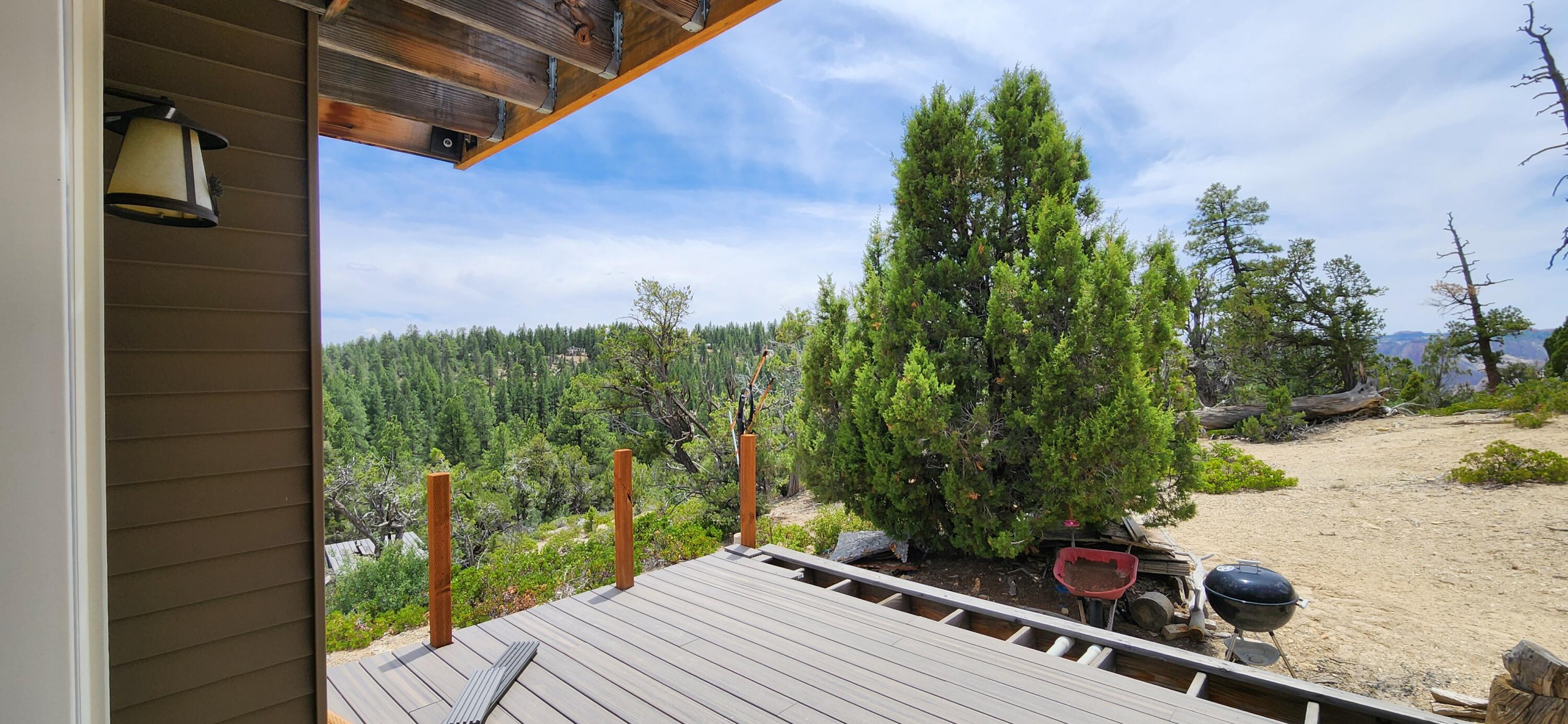 11685 Fir Road Orderville, UT 84758 - Photo 52 of 65 20250601_141502