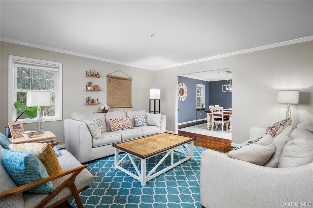 9 Drake Lane White Plains, NY 10607 - Photo 3 of 32 a living room with furniture a rug and a window