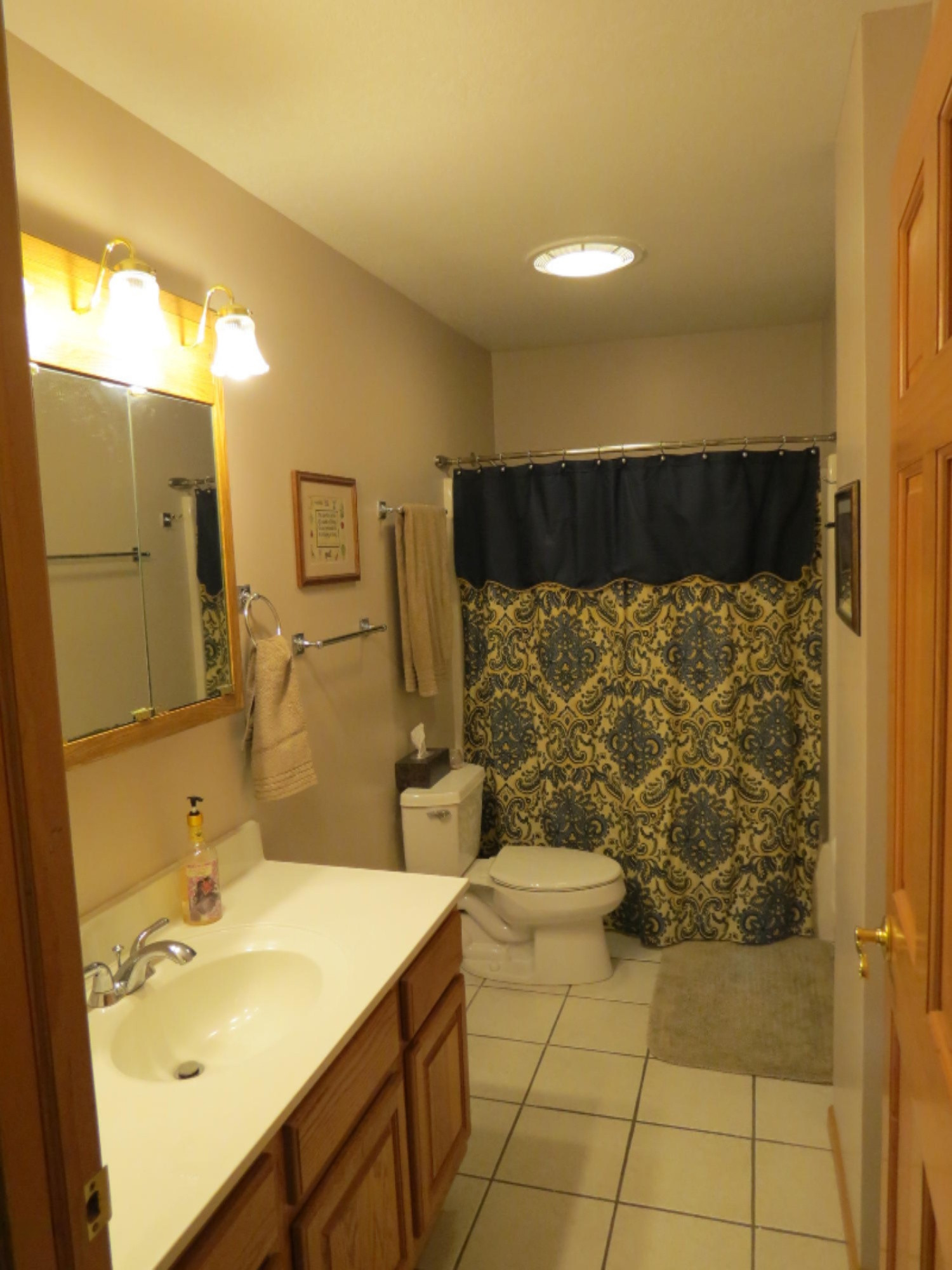825 State Road Quincy, MI 49082 - Photo 13 of 16 house pics 016.JPG
