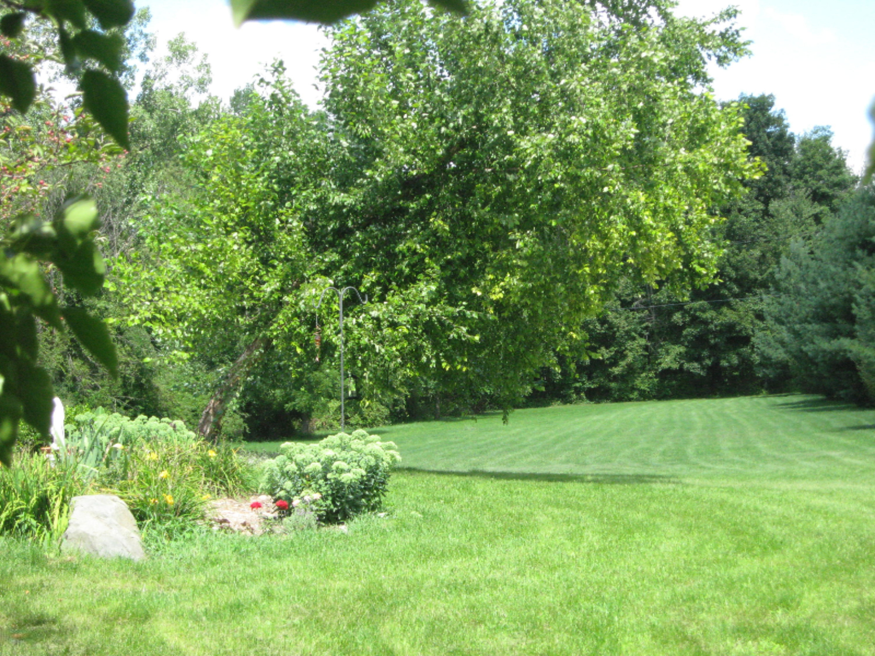 825 State Road Quincy, MI 49082 - Photo 16 of 16 toward street.JPG