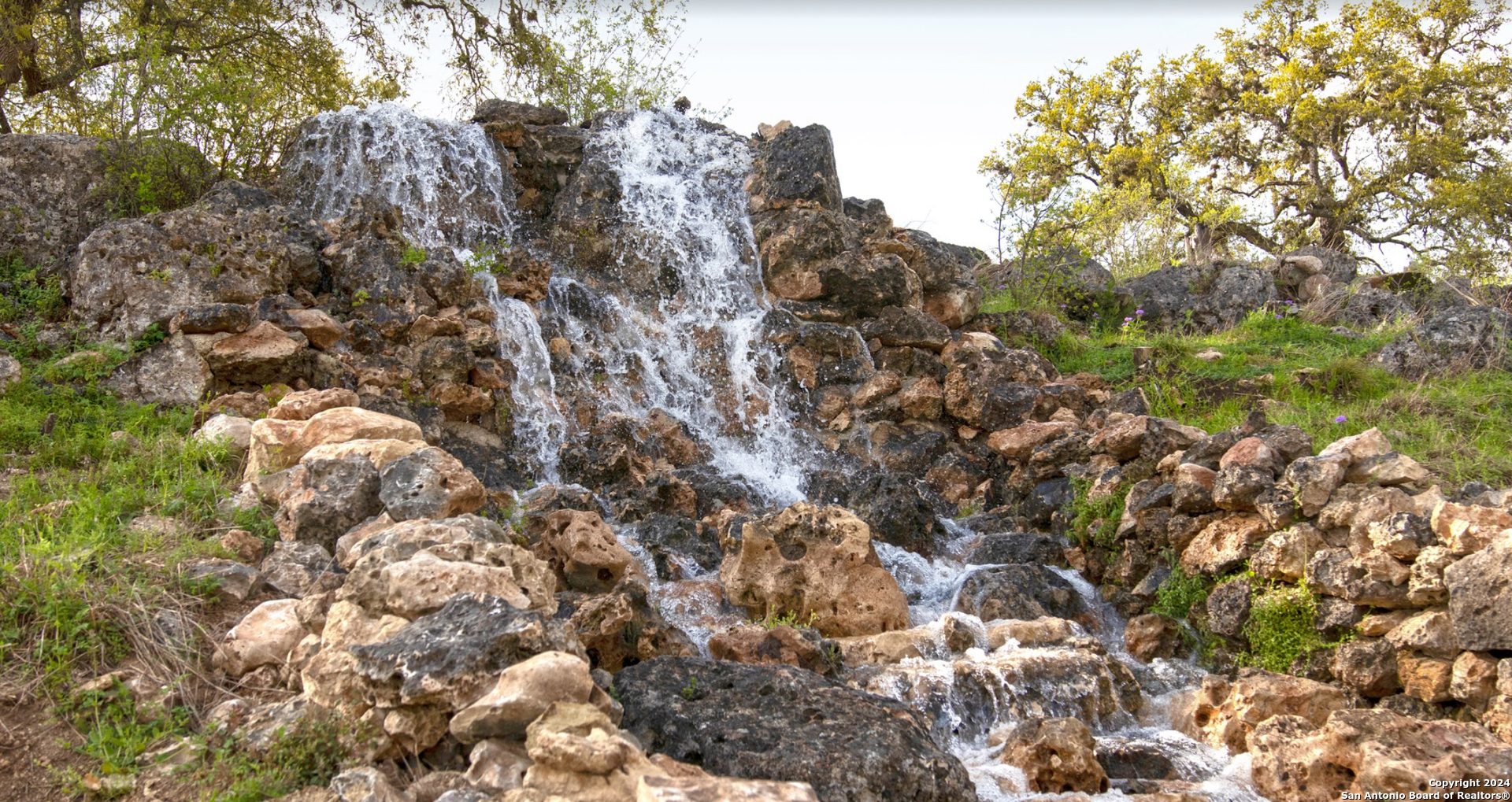 223 Sabella Spring Branch, TX 78070 - Photo 11 of 15 a view of a forest