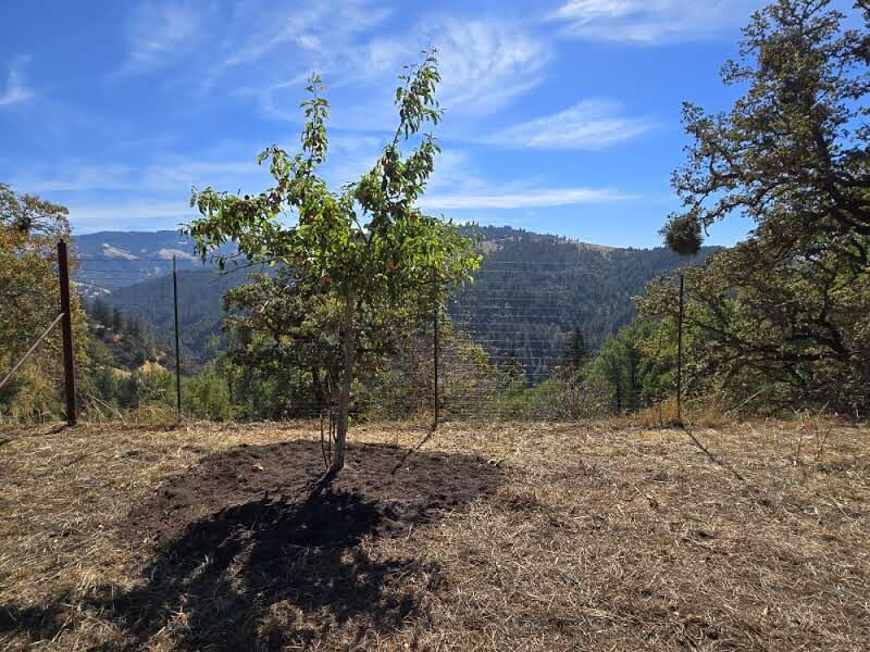 45 Dean Creek Road Redway, CA 95560 - Photo 49 of 70