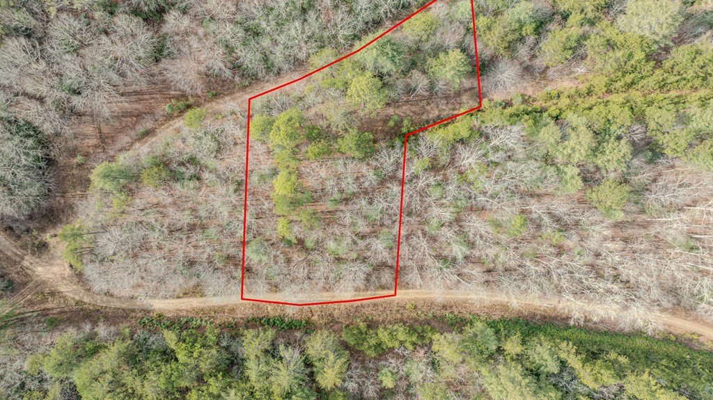 1.03 Deep Frst Road Murphy, NC 28906 - Photo 21 of 28