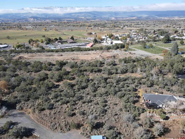 a view of a city with mountains in the background