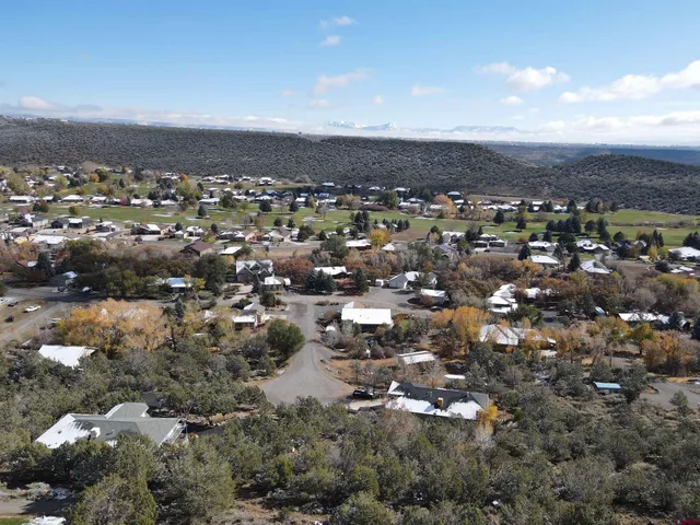 a view of a dry yard with a dry tree