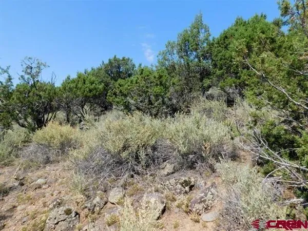 a view of a road with an ocean view
