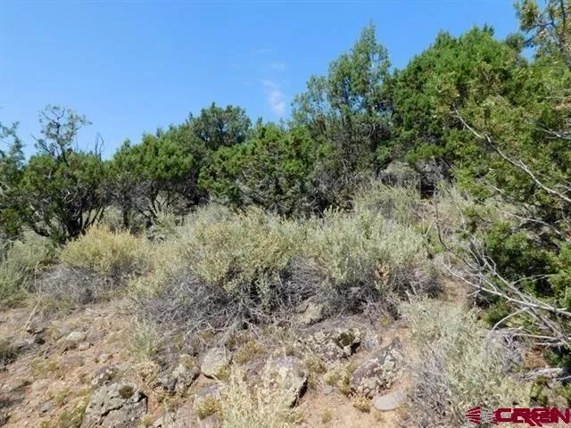 a view of a yard with a tree in the background