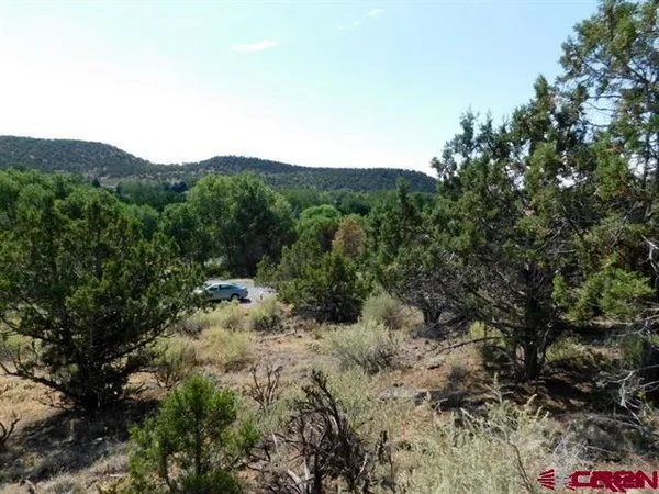 $69,900 | 240 Southeast Flintlock Court, Cedaredge, CO 81413