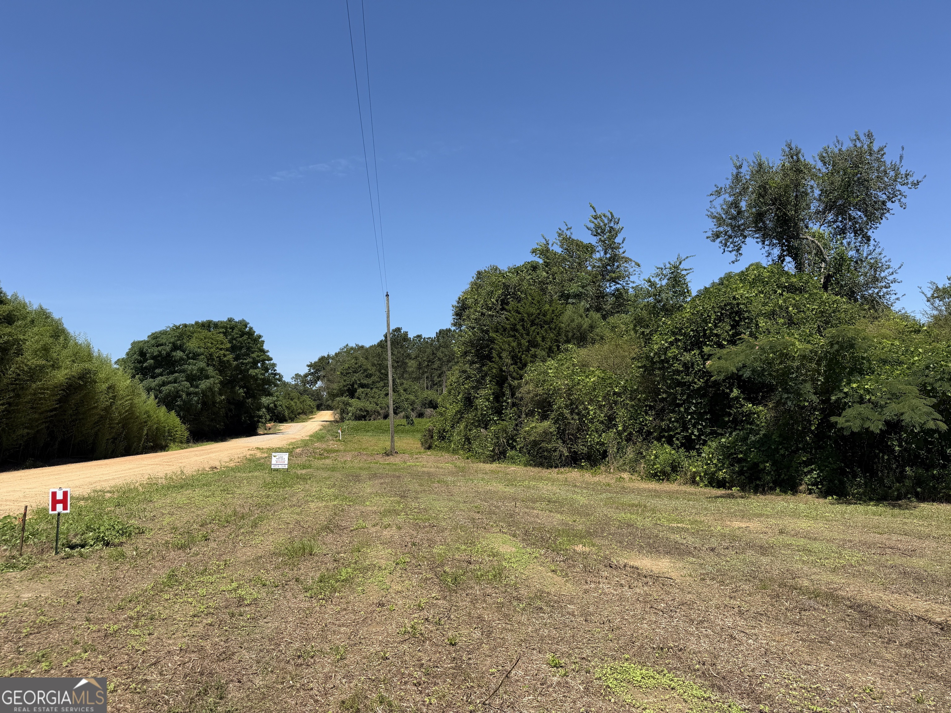 5 G Wallace Buie Road Webb, AL 36376 - Photo 4 of 10