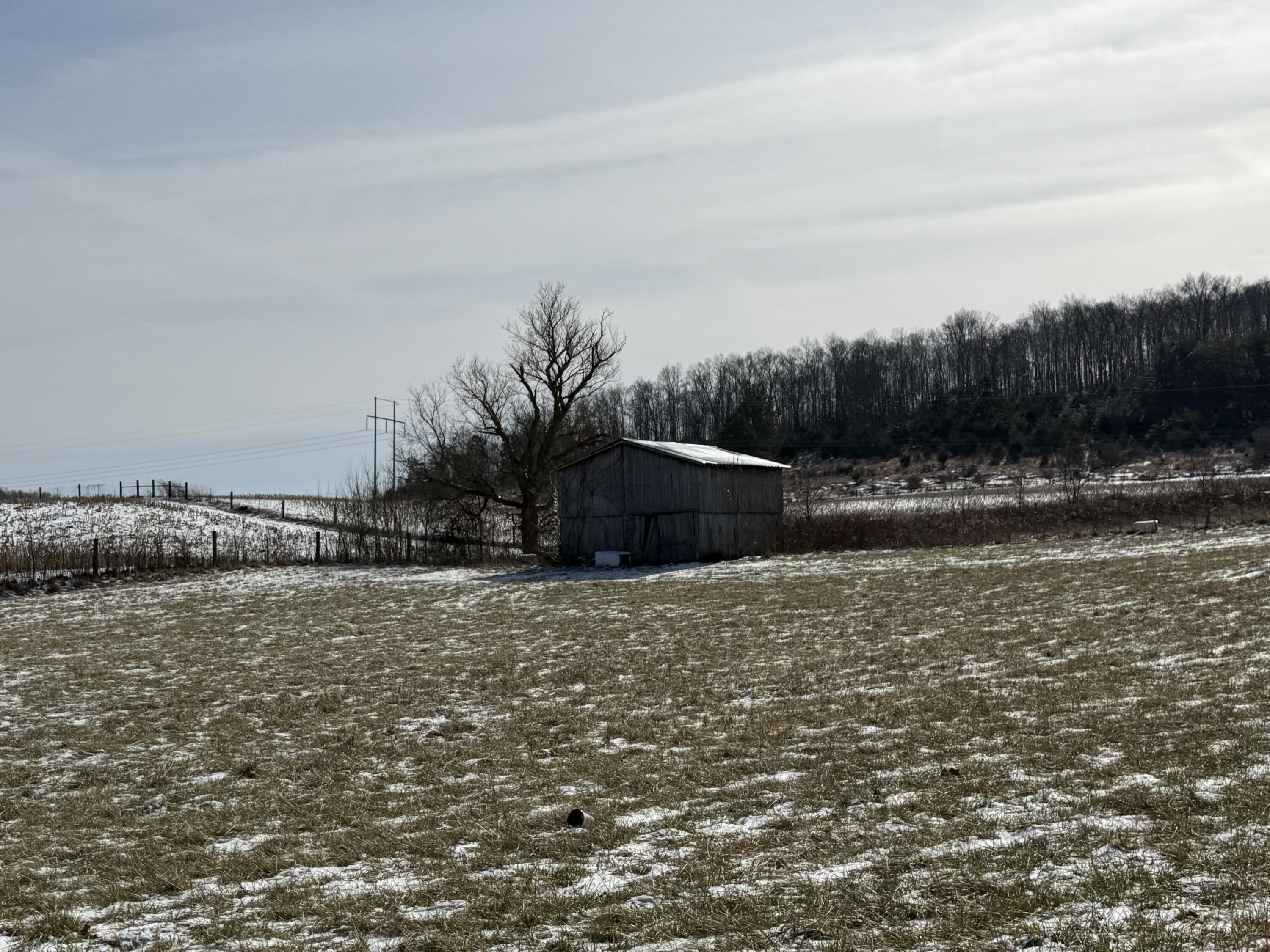 787 Cooper Hollow Road Monticello, KY 42633 - Photo 4 of 19 IMG_5561