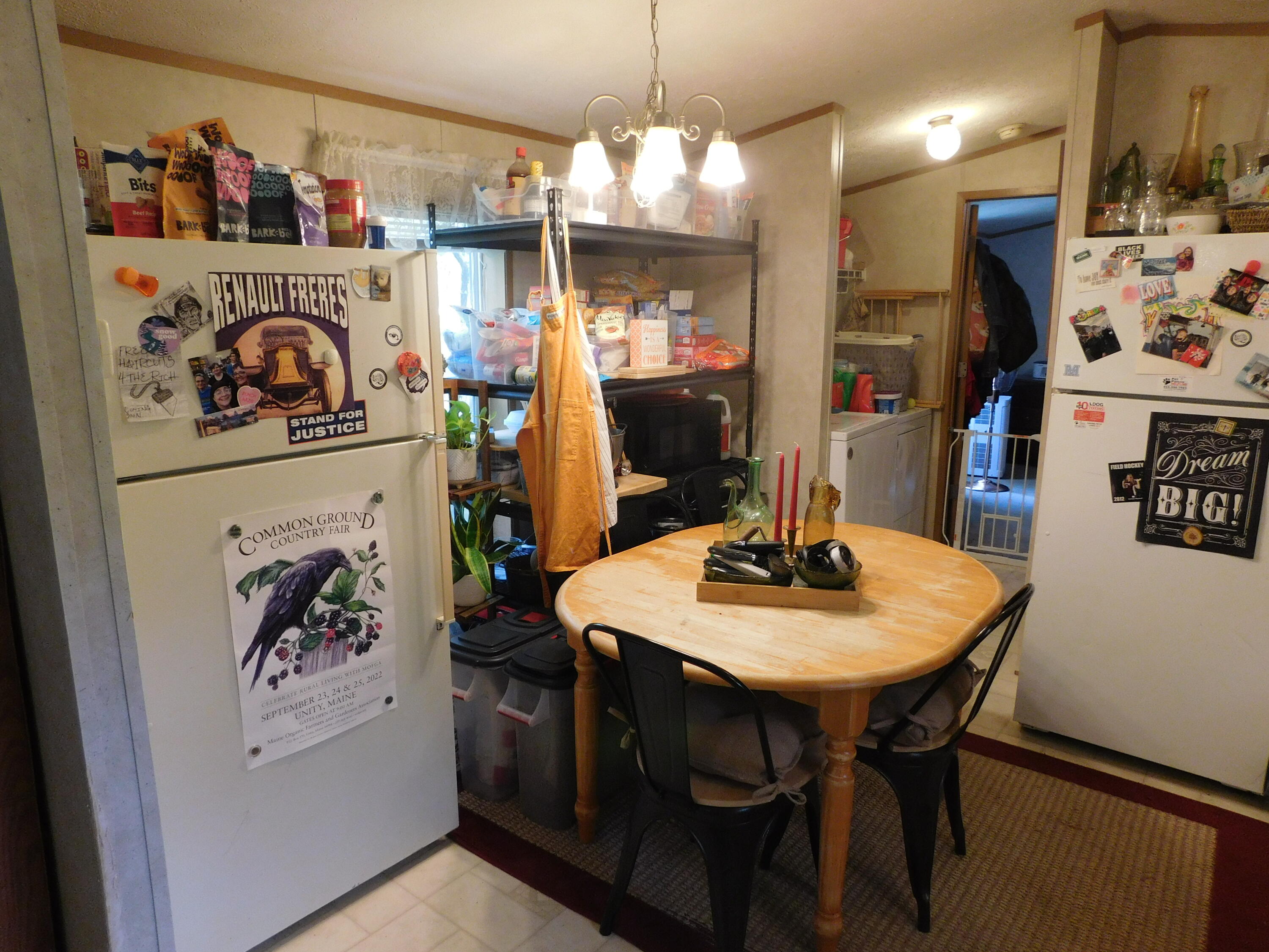 46 Robichaud Road Levant, ME 04456 - Photo 40 of 49 DSCN0674