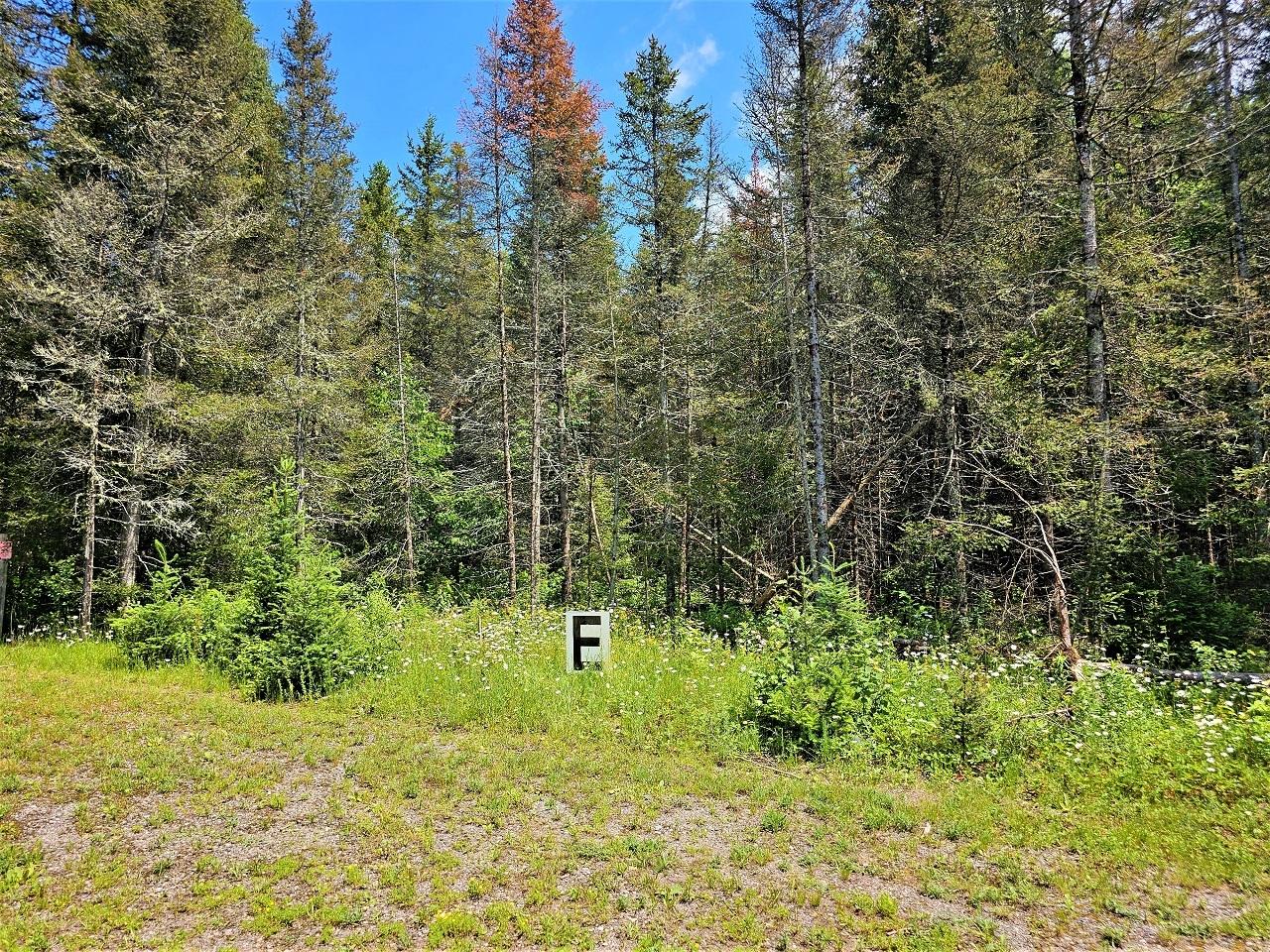 Lot E Lot E Homers Road Mercer, WI 54547 - Photo 1 of 8 Gallery Image 1