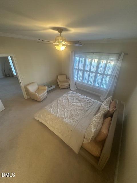 1106 Rosedale Avenue Rocky Mount, NC 27804 - Photo 10 of 41 Master Bedroom3
