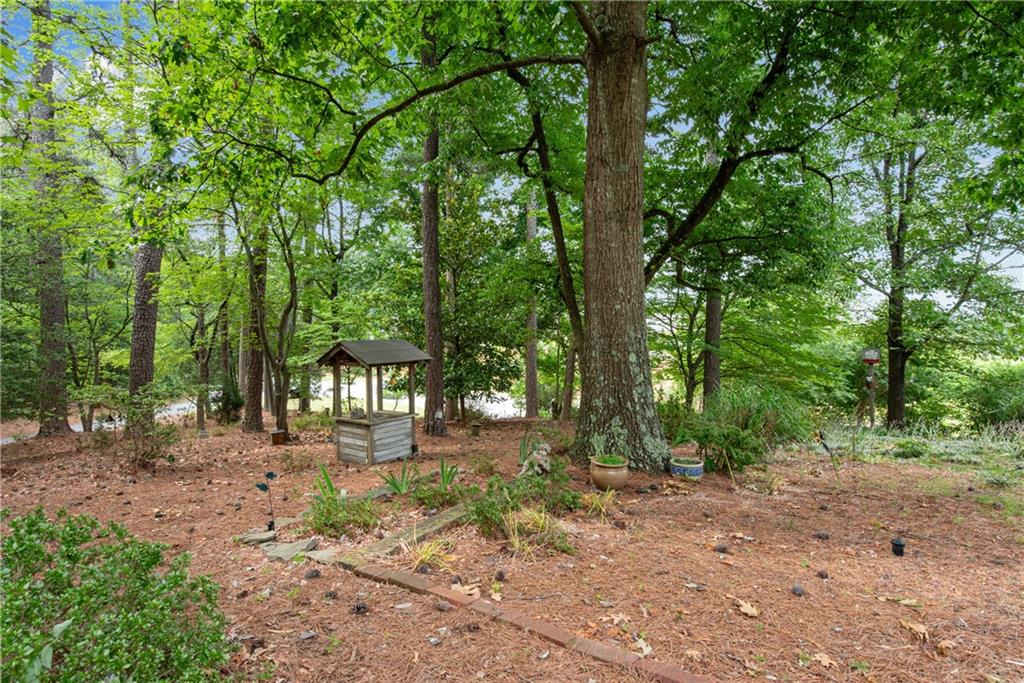 6280 Old Shadburn Ferry Road Buford, GA 30518 - Photo 3 of 54