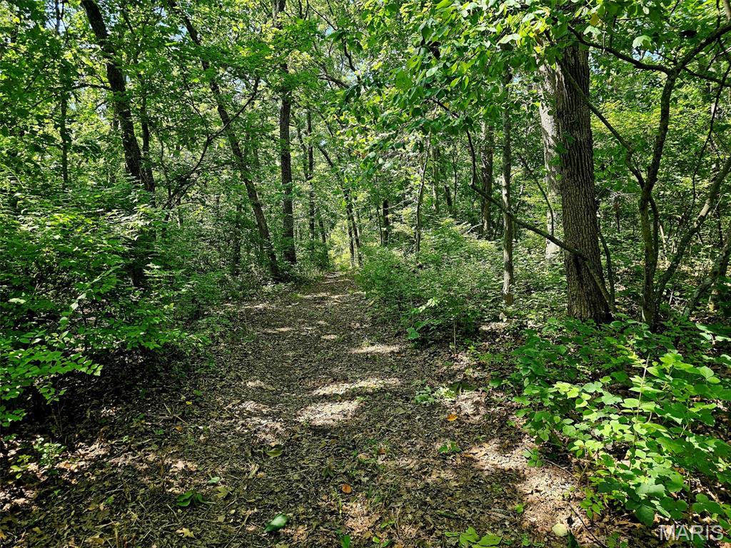 8-ac Walker Road Troy, MO 63379 - Photo 7 of 8