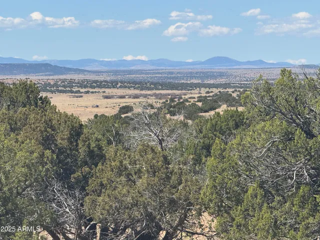 a view of city and mountain