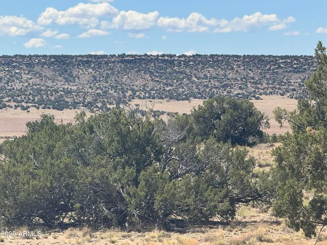 a view of a lake view