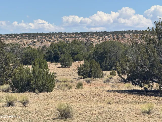 a view of a snow yard and mountain