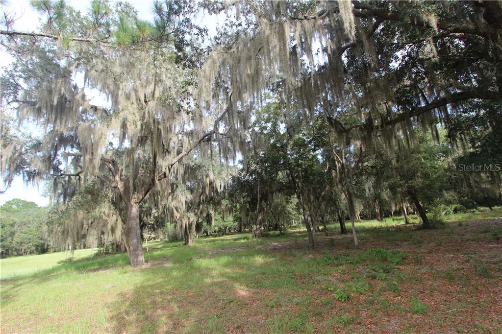 Big Pine Island Road Lady Lake, FL 32159 - Photo 1 of 1