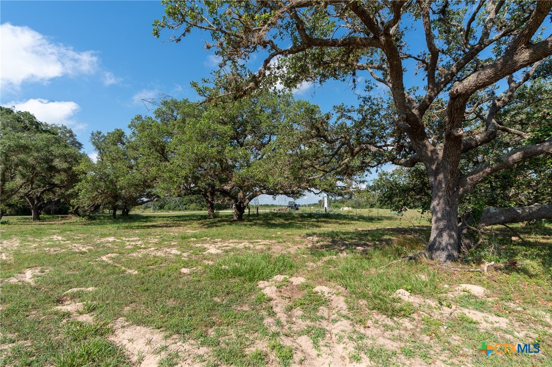 Lot 50 Perdido Pointe Estates Victoria, TX 77905 - Photo 3 of 14 a view of a yard with a tree