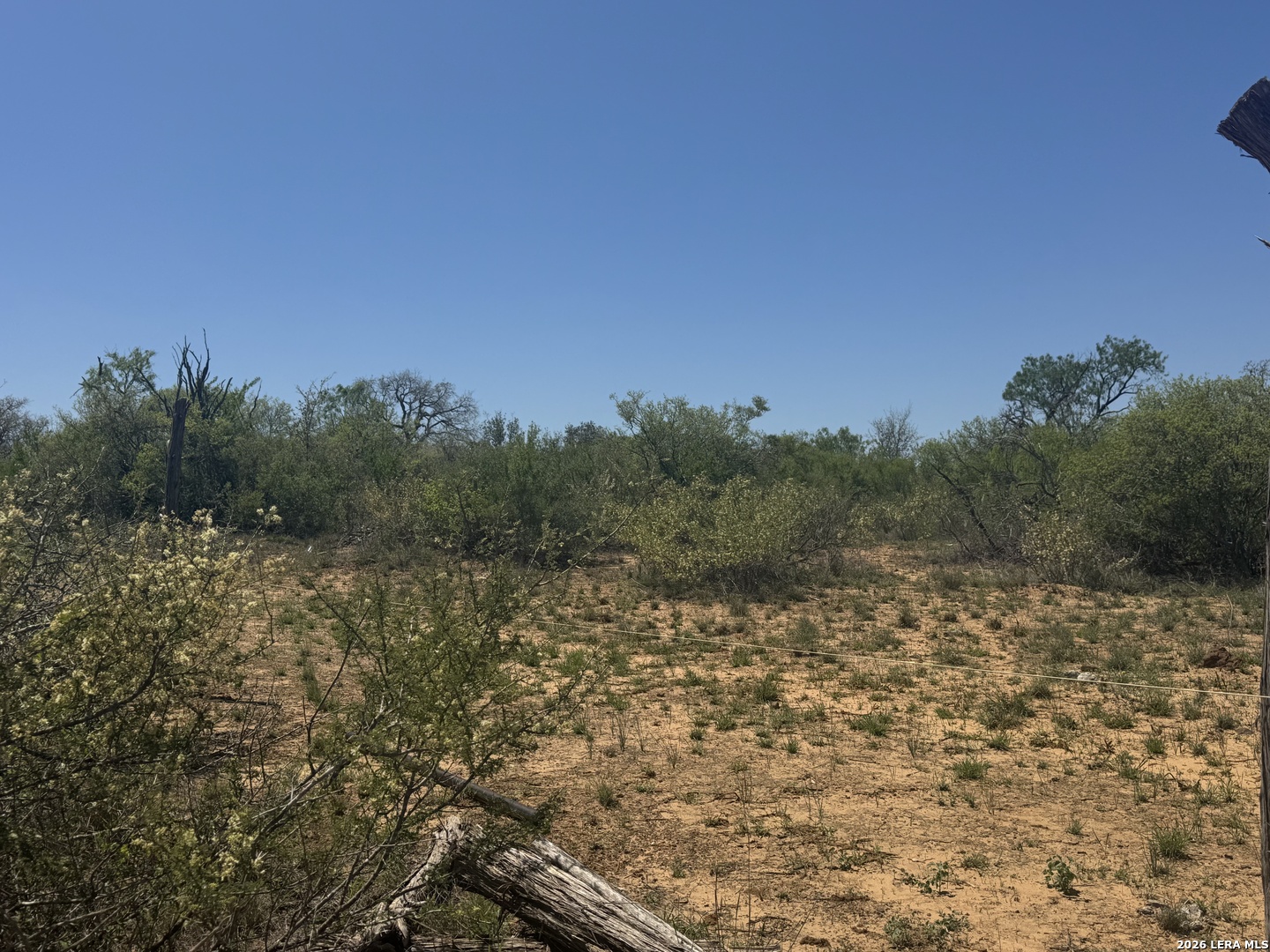 0 Kyote Bigfoot, TX 78005 - Photo 3 of 5 a view of a yard with a tree