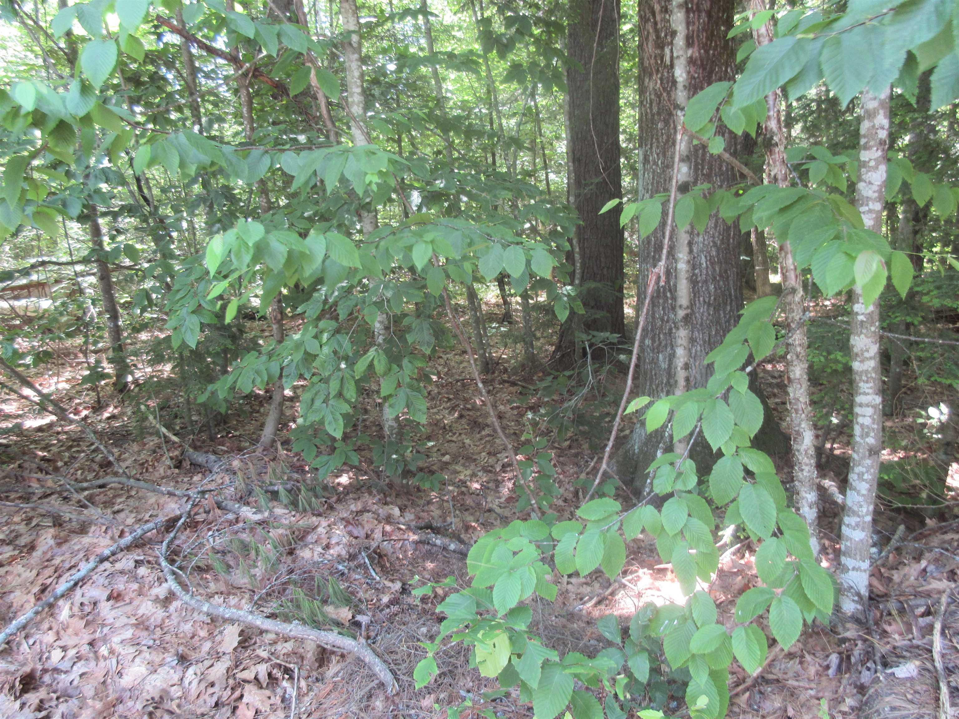 40 Ellen Brook Road Hillsborough, NH 03244 - Photo 2 of 2 Gallery Image 2