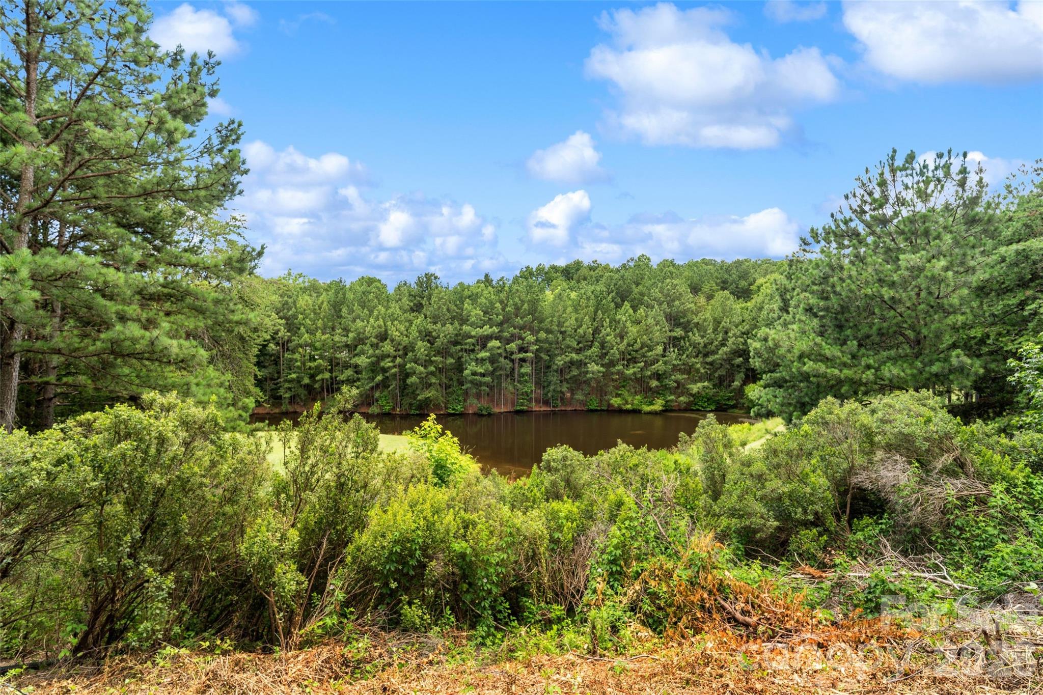 411 Shoreline Parkway Tega Cay, SC 29708 - Photo 37 of 47