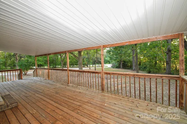 a view of a forest with trees in the background