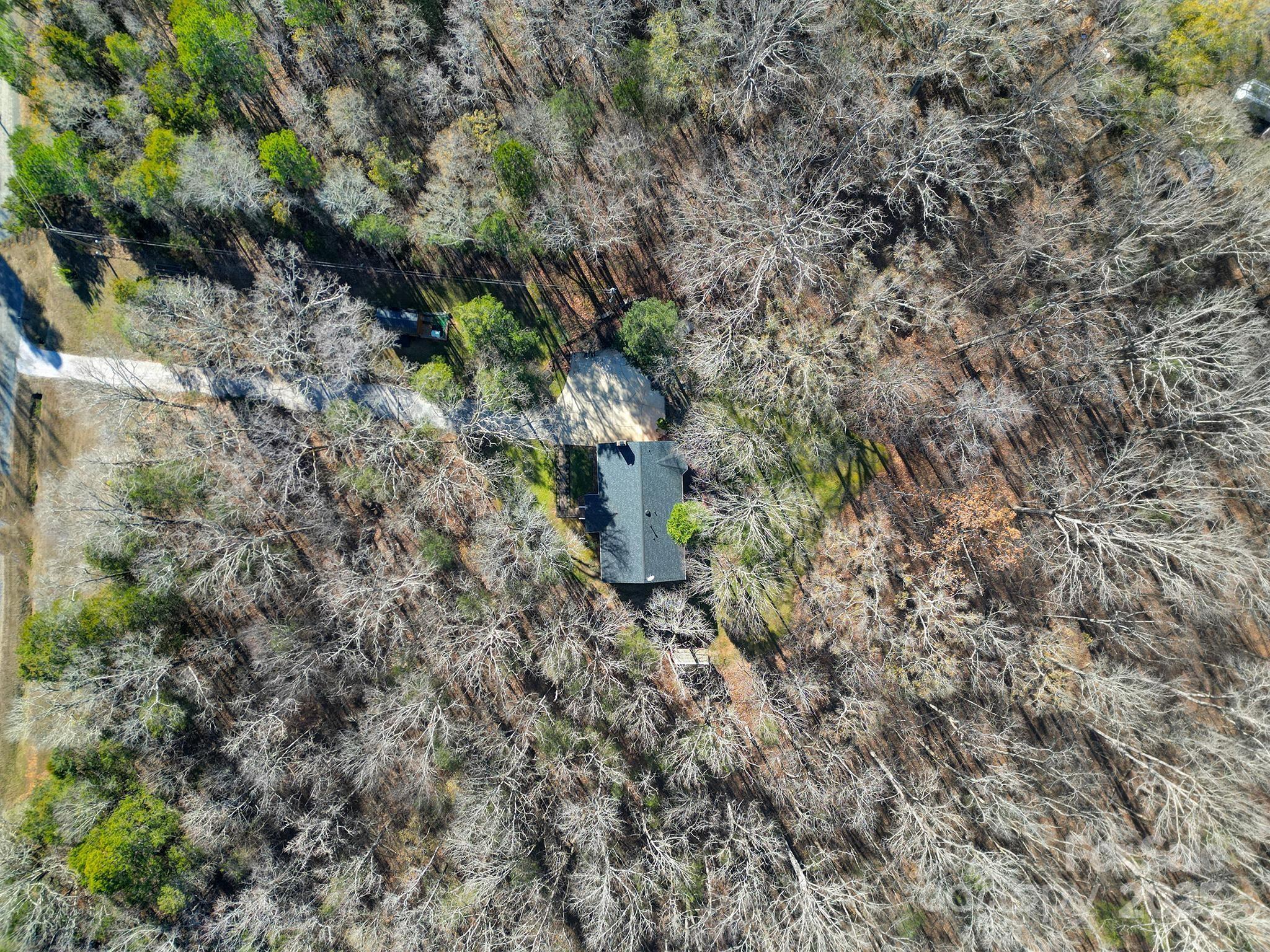 4289 Falcon Hall Way Rock Hill, SC 29730 - Photo 21 of 22 a view of a forest with a house