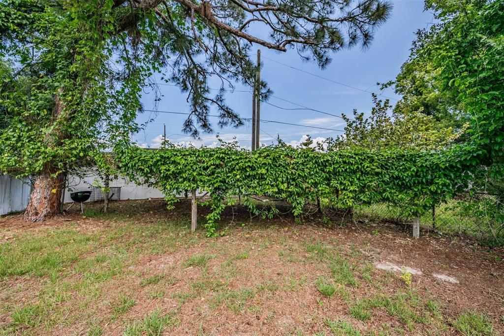 636 Stremma Road Largo, FL 33770 - Photo 26 of 41 Gallery Image 26