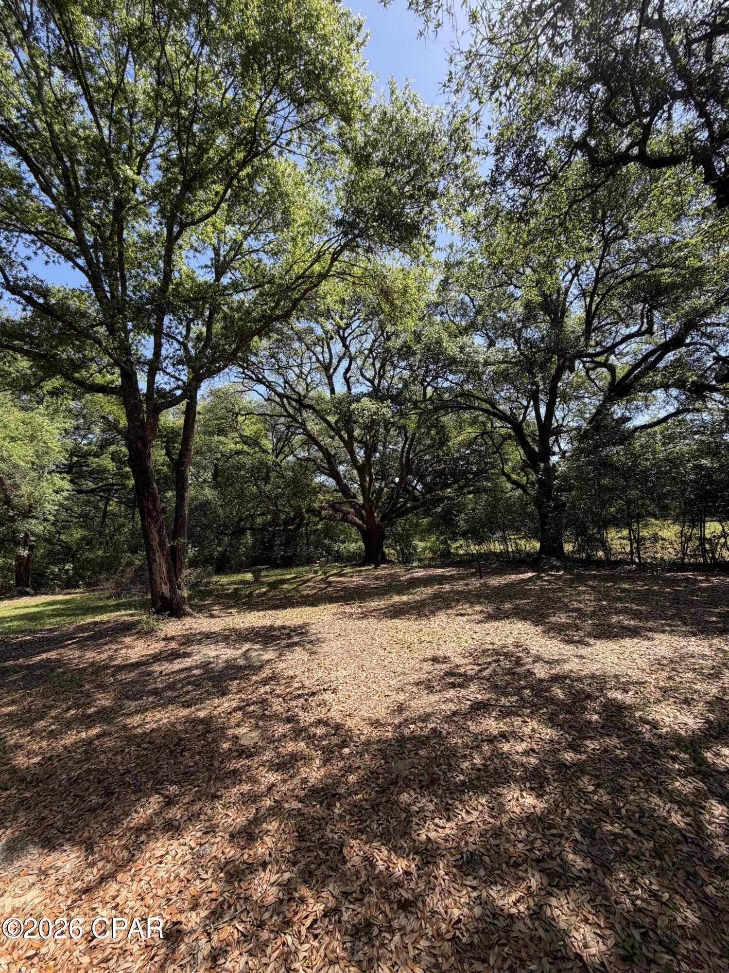 2839 Beall Packing Road Bonifay, FL 32425 - Photo 10 of 21