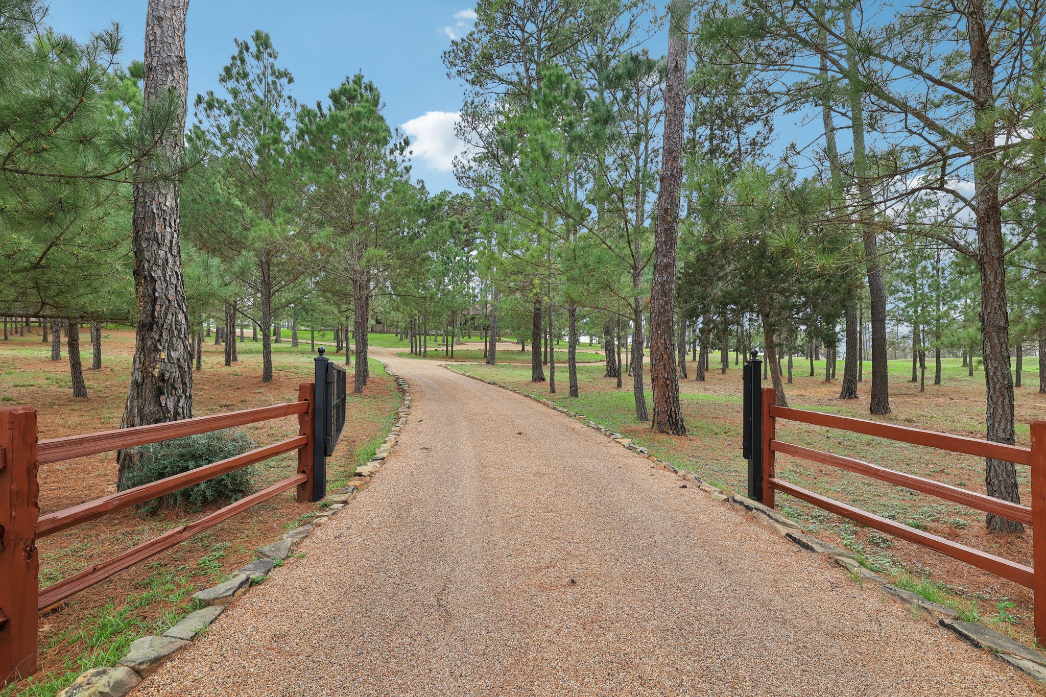 546 McAllister Road Bastrop, TX 78602 - Photo 2 of 40 View of asphalt road