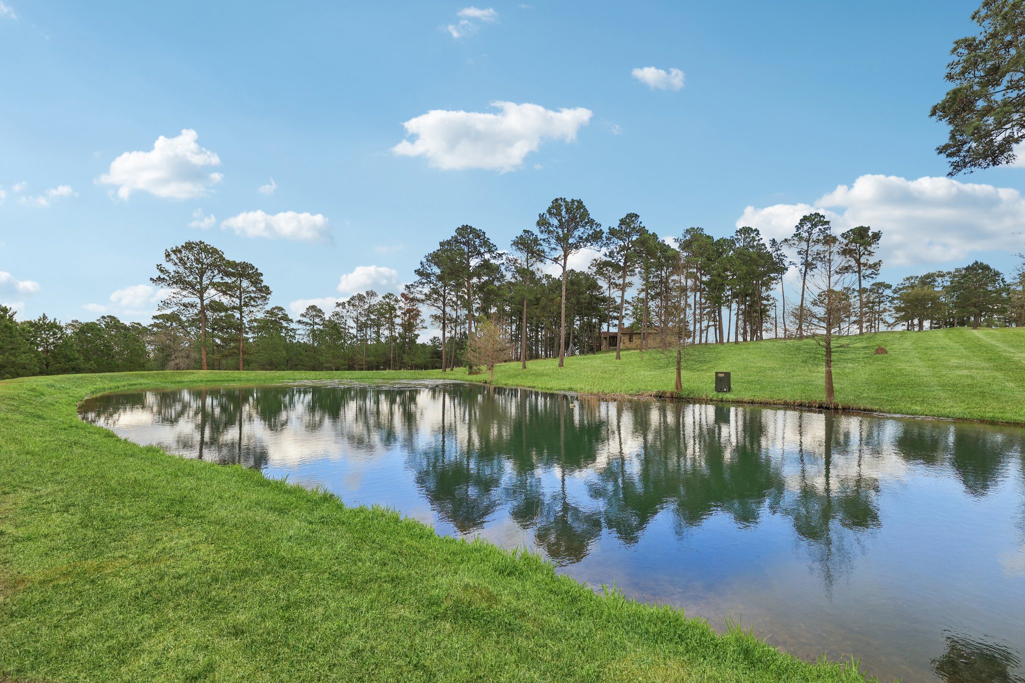 546 McAllister Road Bastrop, TX 78602 - Photo 23 of 40 a view of a lake with a yard and a large tree