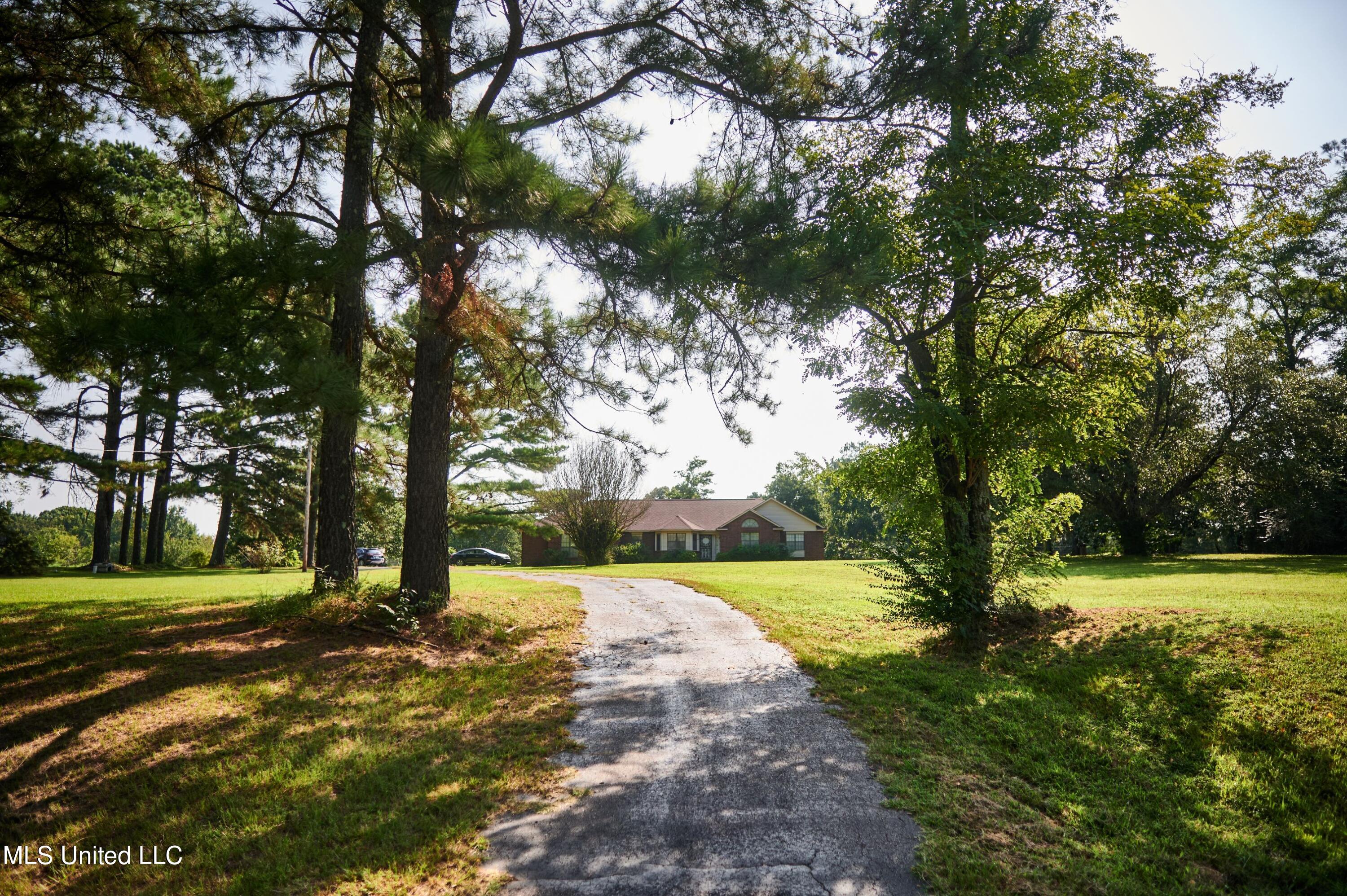 443 Victoria Road Byhalia, MS 38611 - Photo 2 of 32 1000002282