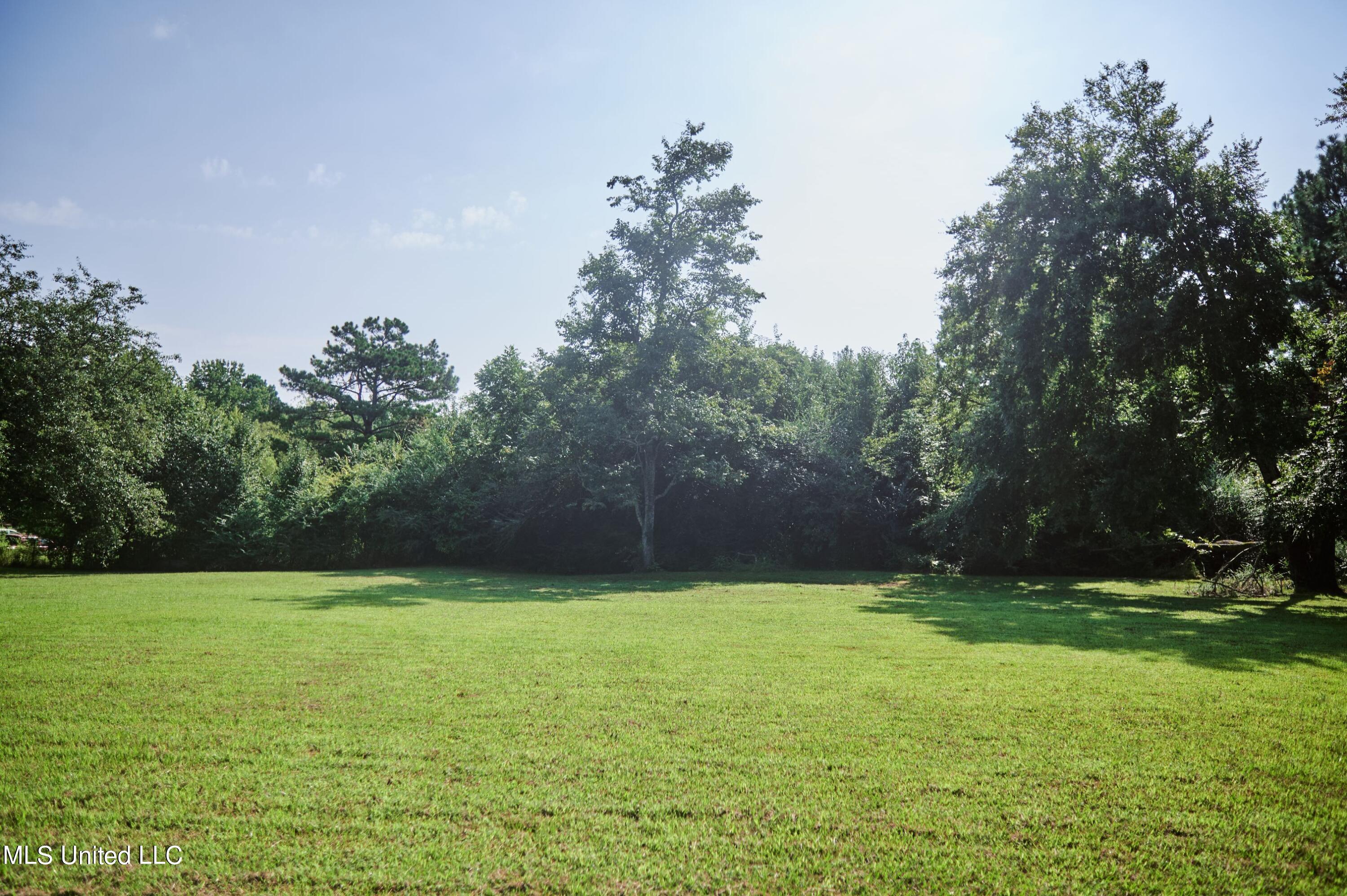 443 Victoria Road Byhalia, MS 38611 - Photo 29 of 32 1000002292