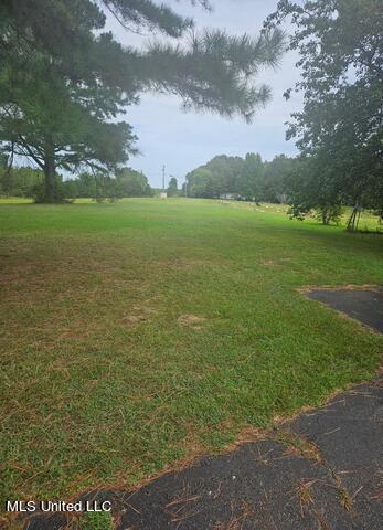 443 Victoria Road Byhalia, MS 38611 - Photo 32 of 32 image000001