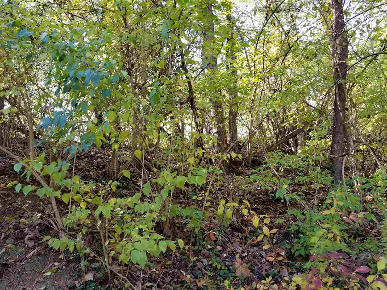 1712 Highwater Road Bromley, KY 41016 - Photo 6 of 22 Gallery Image 6