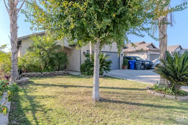a backyard with potted plants and a large tree
