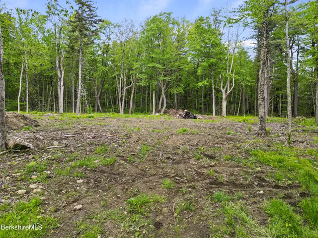 a big yard with trees in front of it