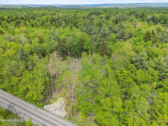 a view of a forest from a window