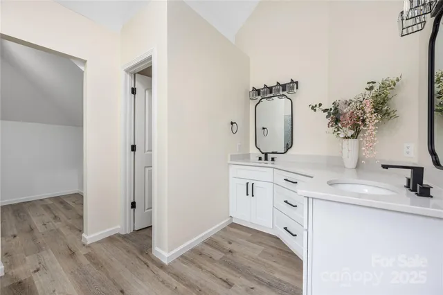a bathroom with a granite countertop sink a mirror and a potted plant