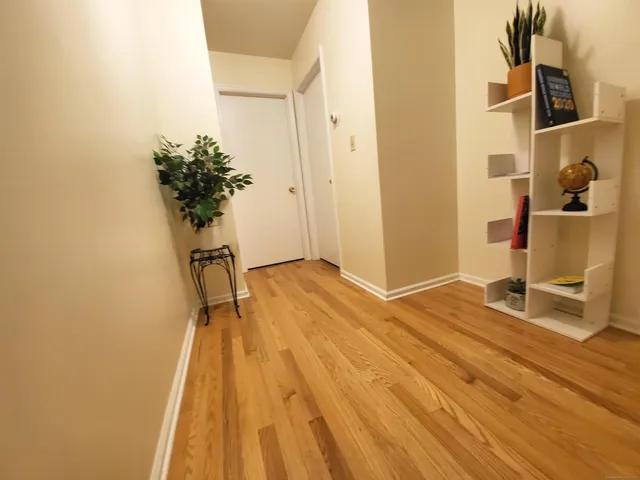 a view of a room with wooden floor and a potted plant