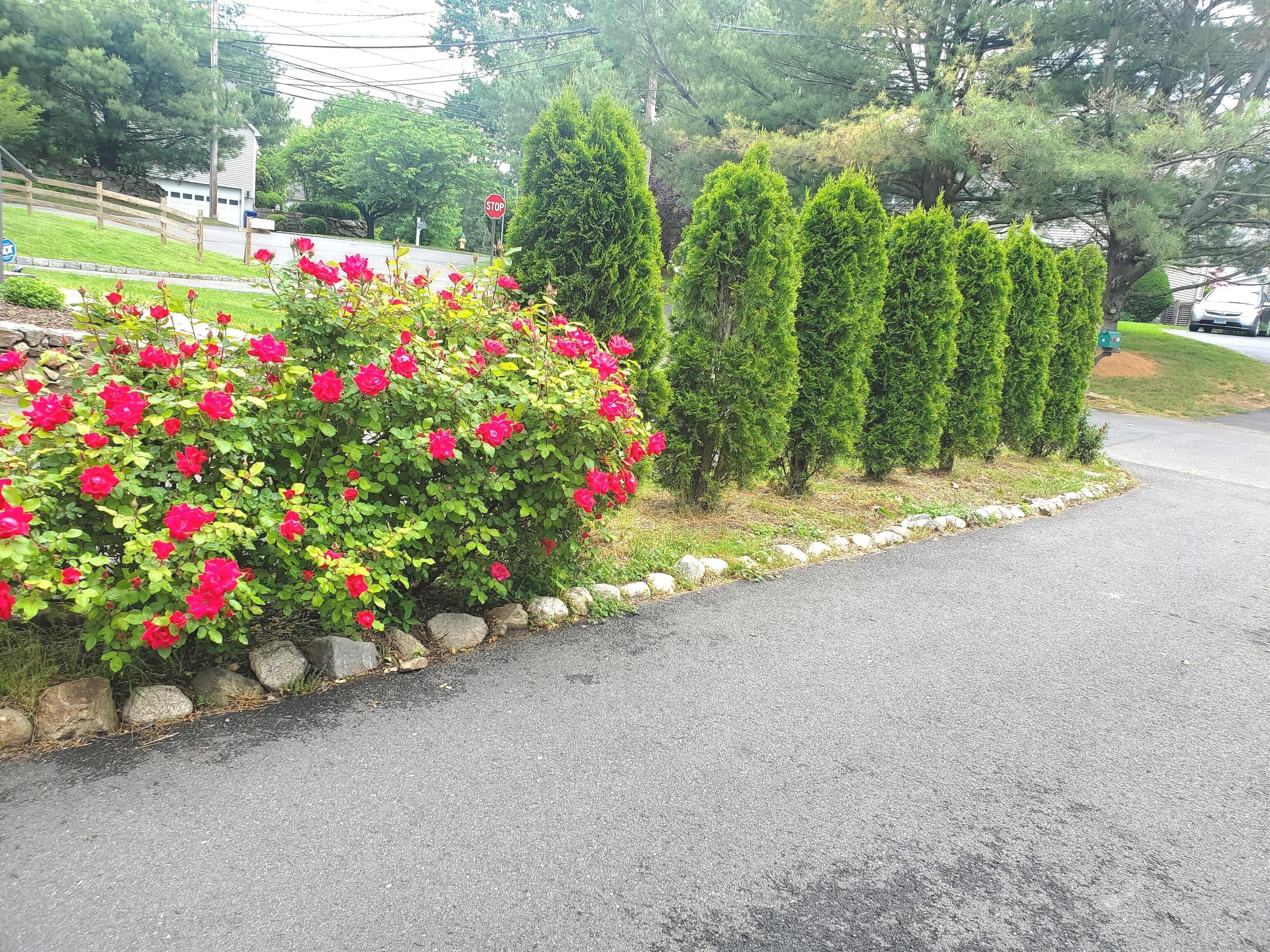 39 Nash Place, Unit A Norwalk, CT 06854 - Photo 29 of 29 a bunch of flowers are in a yard