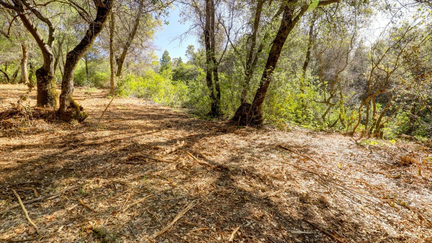 0 Southridge Road Penn Valley, CA 95946 - Photo 63 of 72
